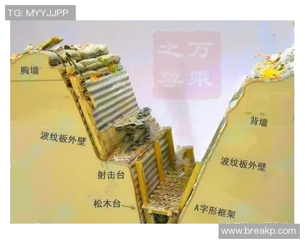 深圳排球队防反战术解析与实战应用探讨